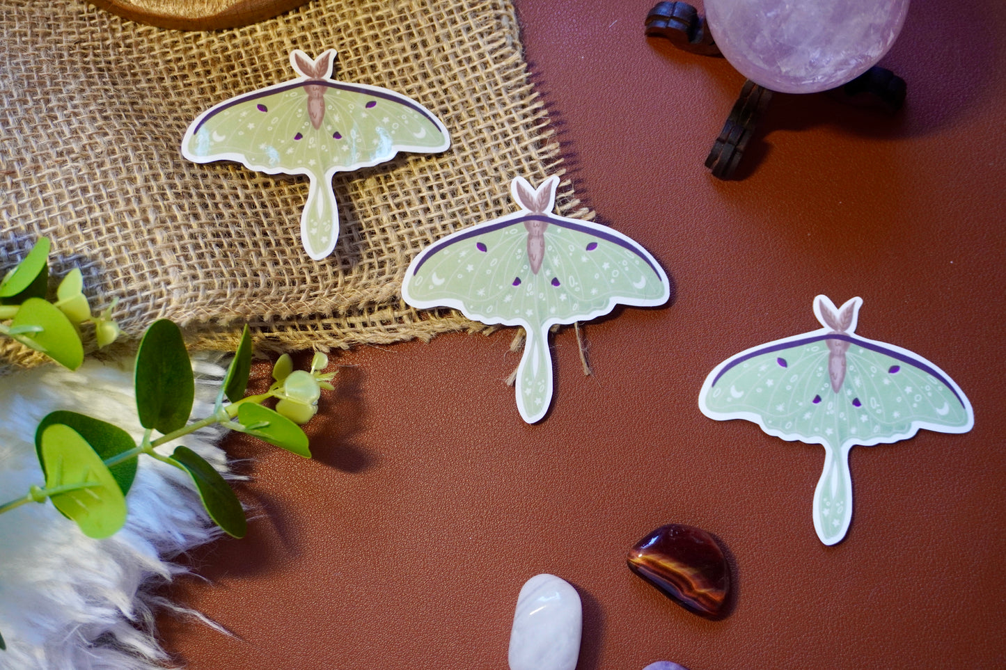 The image shows a sticker of a luna moth. The moth is light green with intricate white star, moon, and dot designs on its wings, along with dark purple accents and a brown body. The sticker is die-cut to follow the shape of the moth, giving it a distinct and whimsical appearance.