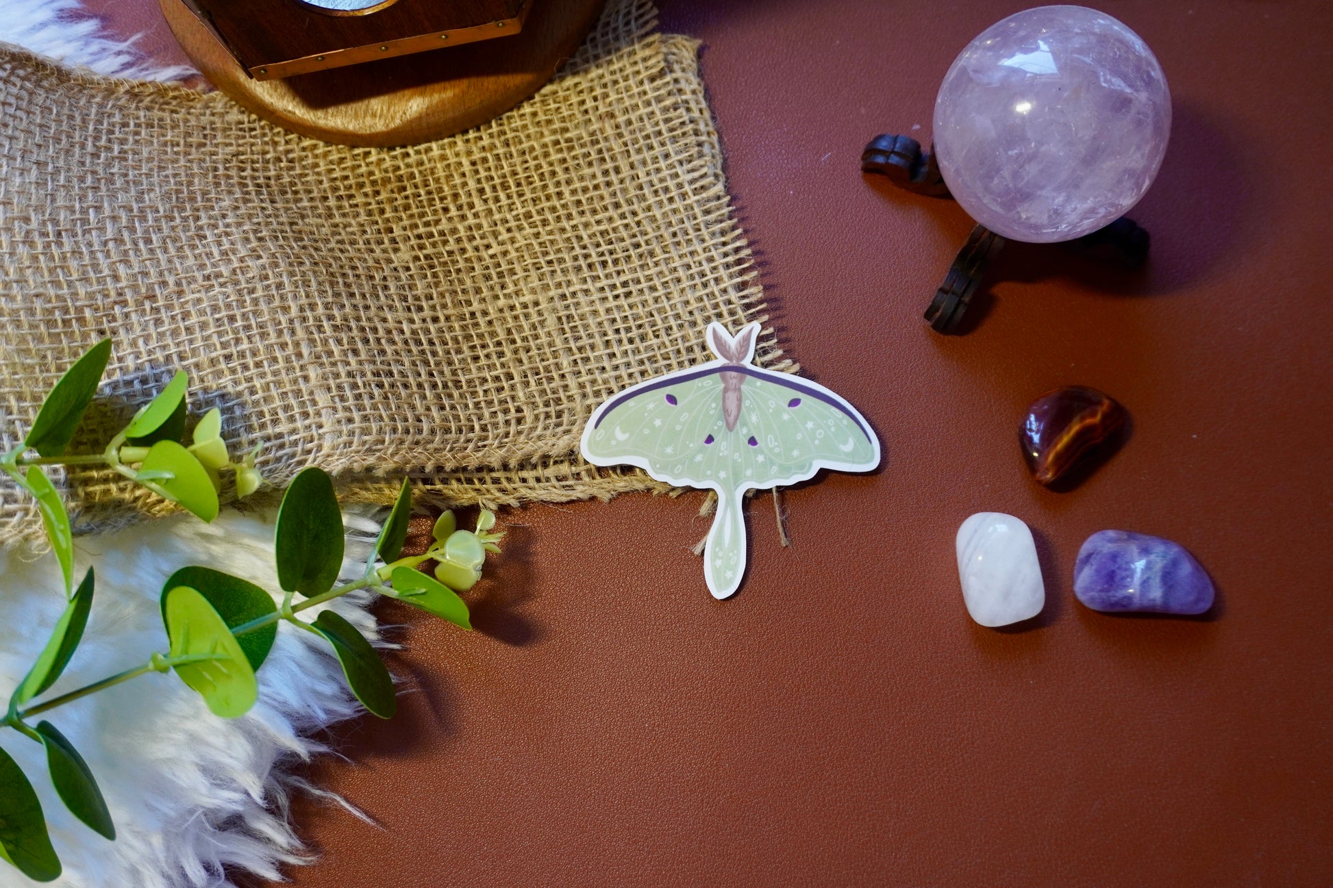The image shows a sticker of a luna moth. The moth is light green with intricate white star, moon, and dot designs on its wings, along with dark purple accents and a brown body. The sticker is die-cut to follow the shape of the moth, giving it a distinct and whimsical appearance. 