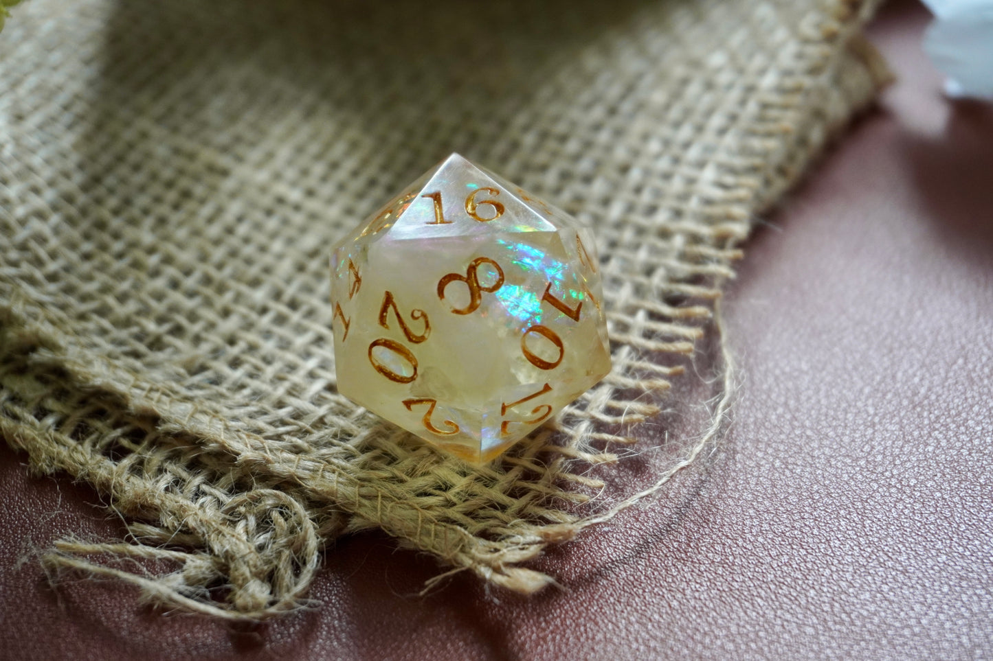 Secret of the flower D20 chunk