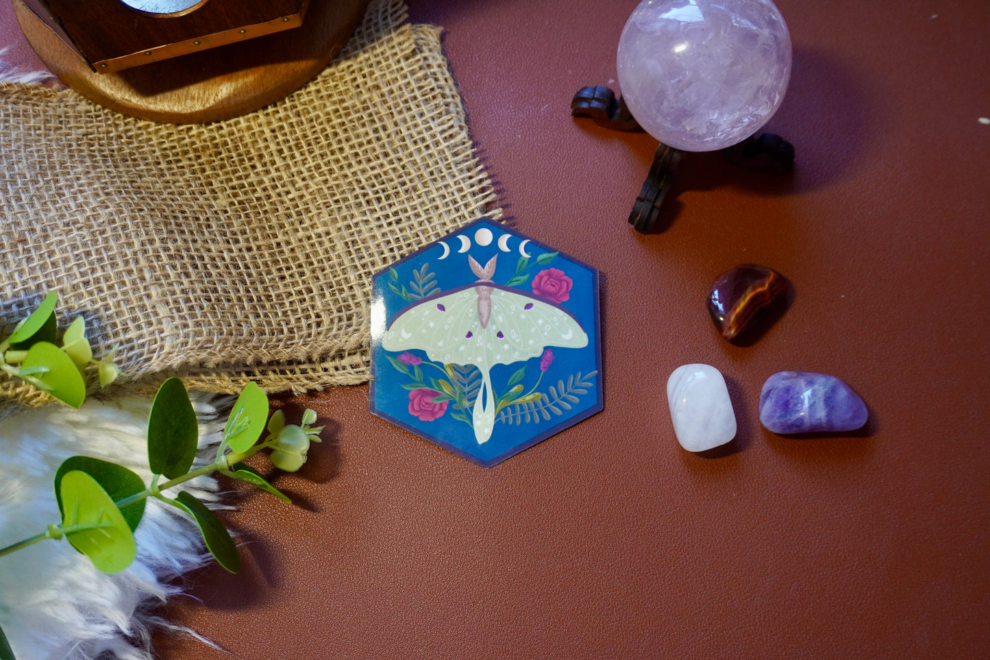 The image shows a hexagon-shaped sticker. The design features a green luna moth with decorative star and dot patterns on its wings, surrounded by various plants including red roses and ferns. Above the moth, a lunar phase motif is displayed, showing the progression of the moon from waxing crescent to full and waning crescent. The background is a deep blue, enhancing the contrast with the soft green moth and vibrant plant colors. The overall style is whimsical and nature-inspired.