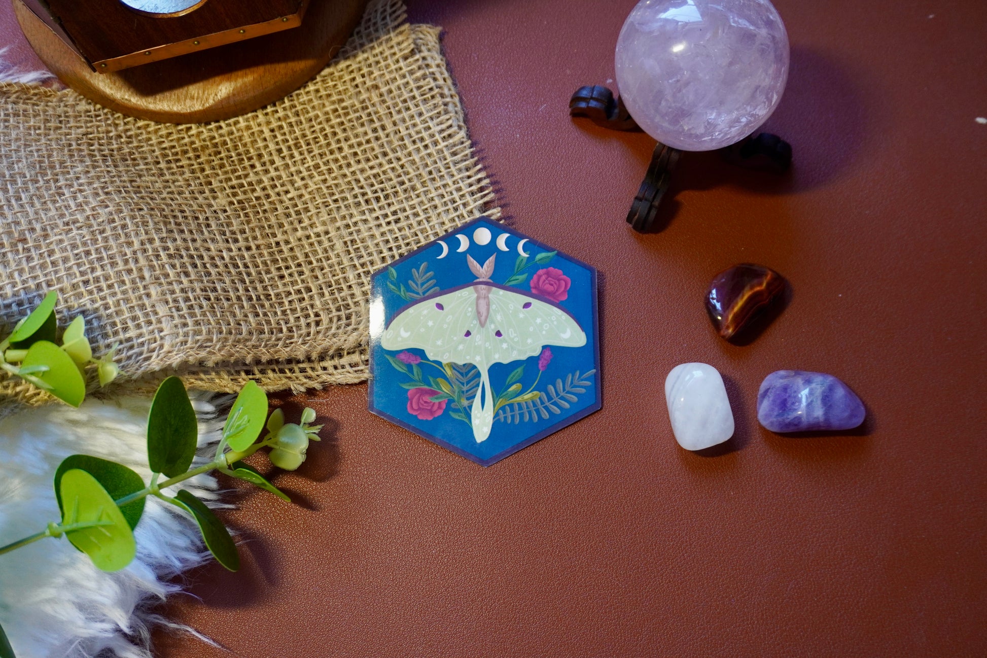 The image shows a hexagon-shaped sticker. The design features a green luna moth with decorative star and dot patterns on its wings, surrounded by various plants including red roses and ferns. Above the moth, a lunar phase motif is displayed, showing the progression of the moon from waxing crescent to full and waning crescent. The background is a deep blue, enhancing the contrast with the soft green moth and vibrant plant colors. The overall style is whimsical and nature-inspired.