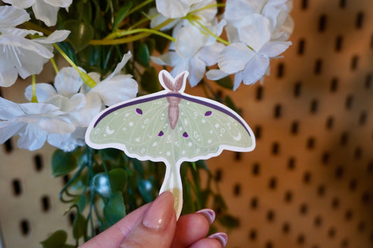 The image shows a sticker of a luna moth being held in front of a backdrop with artificial white flowers and a pegboard. The moth is light green with intricate white star, moon, and dot designs on its wings, along with dark purple accents and a brown body. The sticker is die-cut to follow the shape of the moth, giving it a distinct and whimsical appearance. 