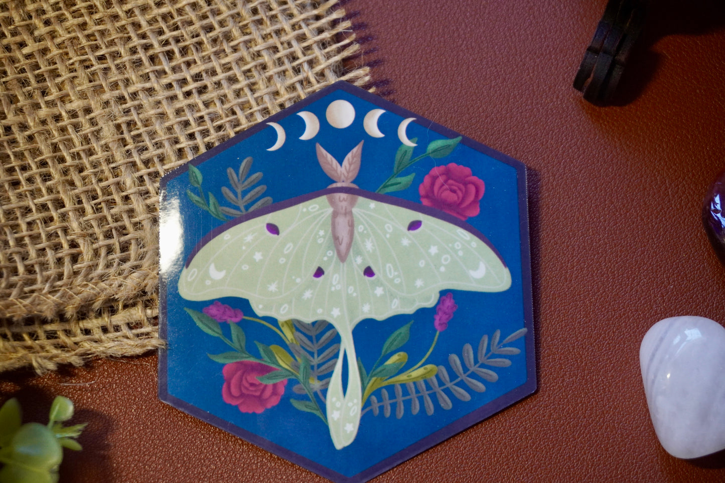 The image shows a hexagon-shaped sticker. The design features a green luna moth with decorative star and dot patterns on its wings, surrounded by various plants including red roses and ferns. Above the moth, a lunar phase motif is displayed, showing the progression of the moon from waxing crescent to full and waning crescent. The background is a deep blue, enhancing the contrast with the soft green moth and vibrant plant colors. The overall style is whimsical and nature-inspired.