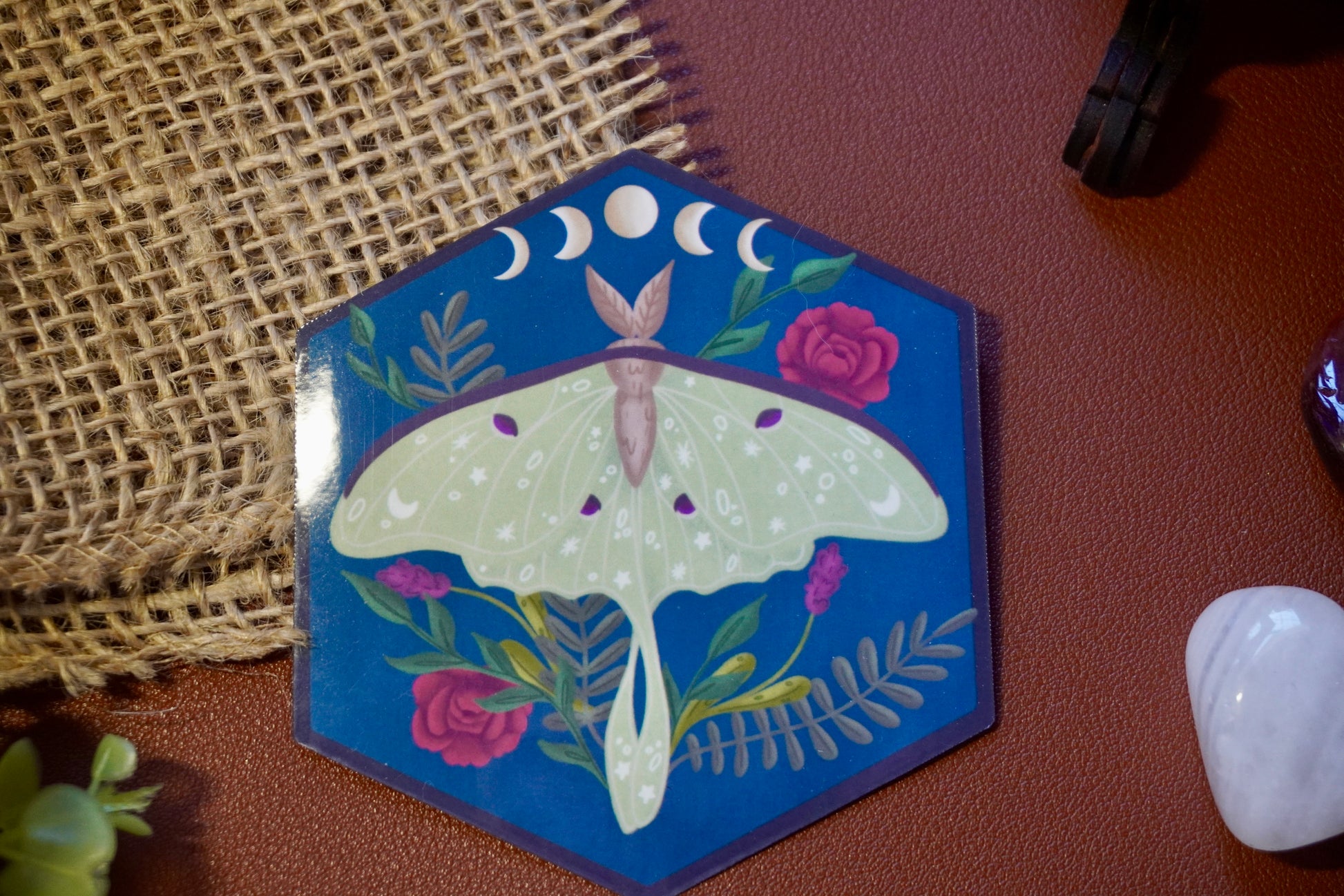 The image shows a hexagon-shaped sticker. The design features a green luna moth with decorative star and dot patterns on its wings, surrounded by various plants including red roses and ferns. Above the moth, a lunar phase motif is displayed, showing the progression of the moon from waxing crescent to full and waning crescent. The background is a deep blue, enhancing the contrast with the soft green moth and vibrant plant colors. The overall style is whimsical and nature-inspired.