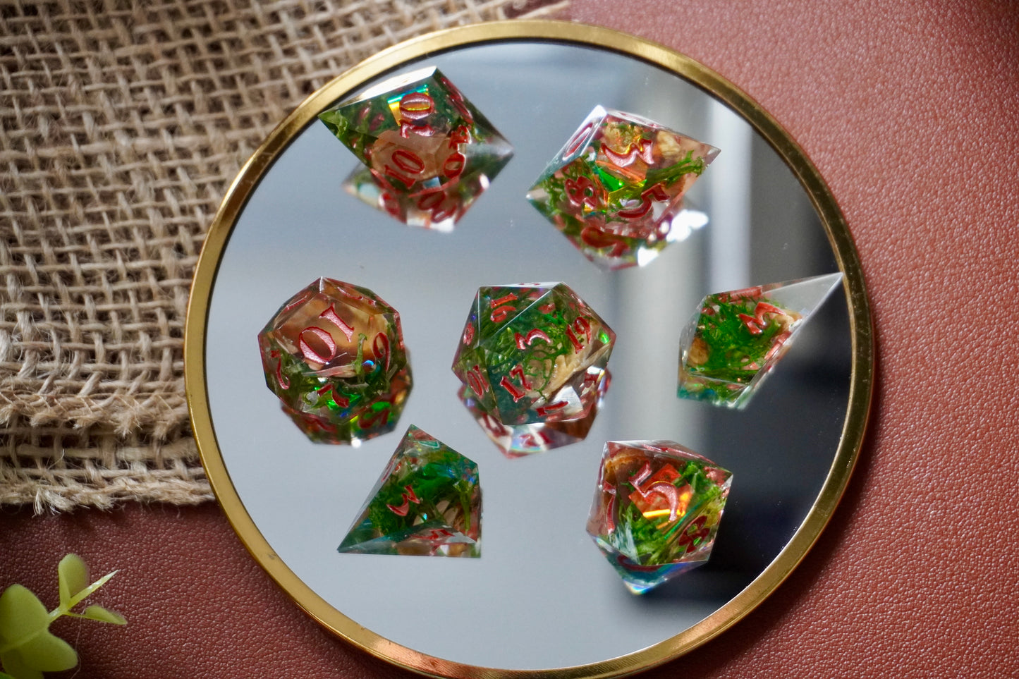 Fairy circle, dice set