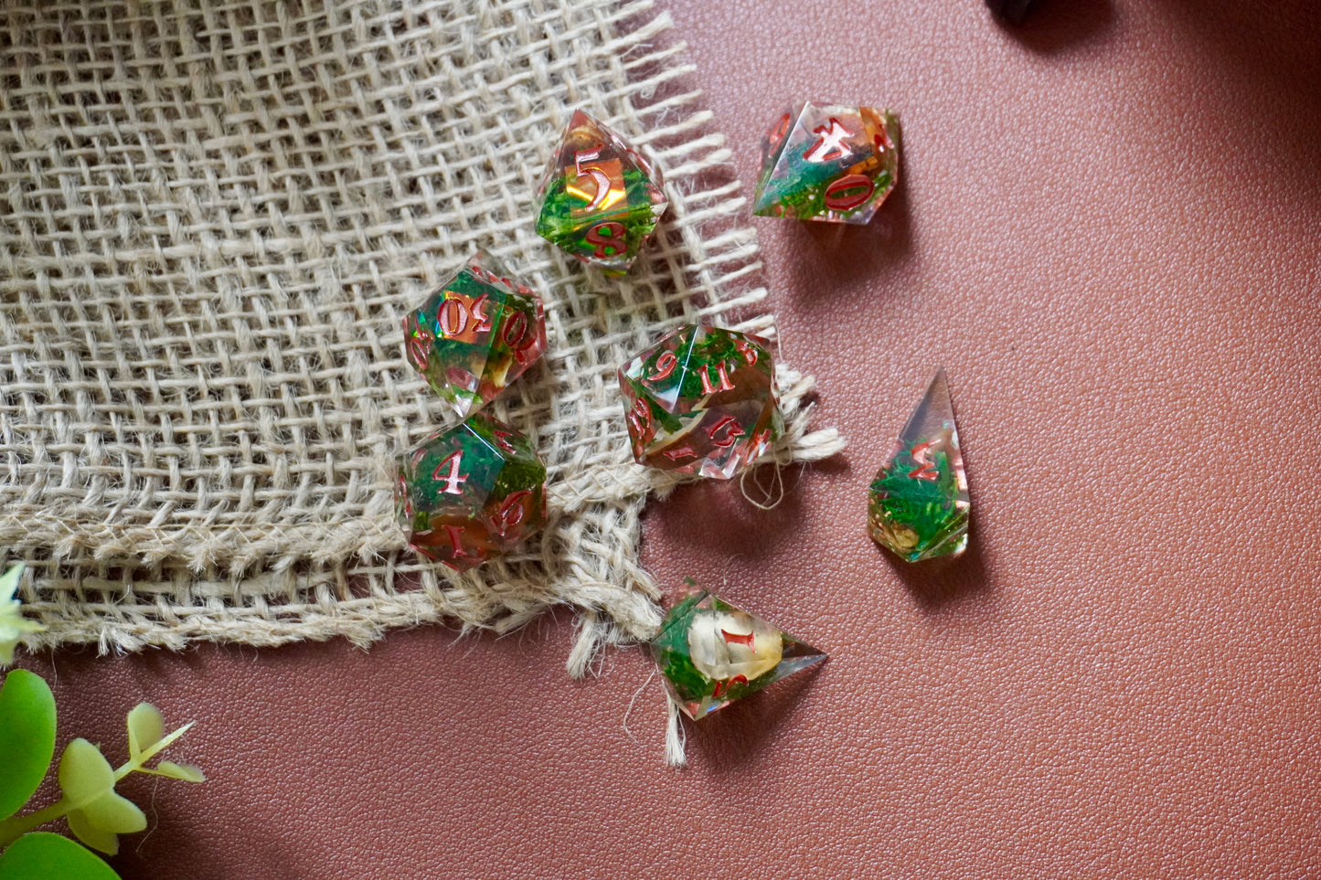 Fairy circle, dice set