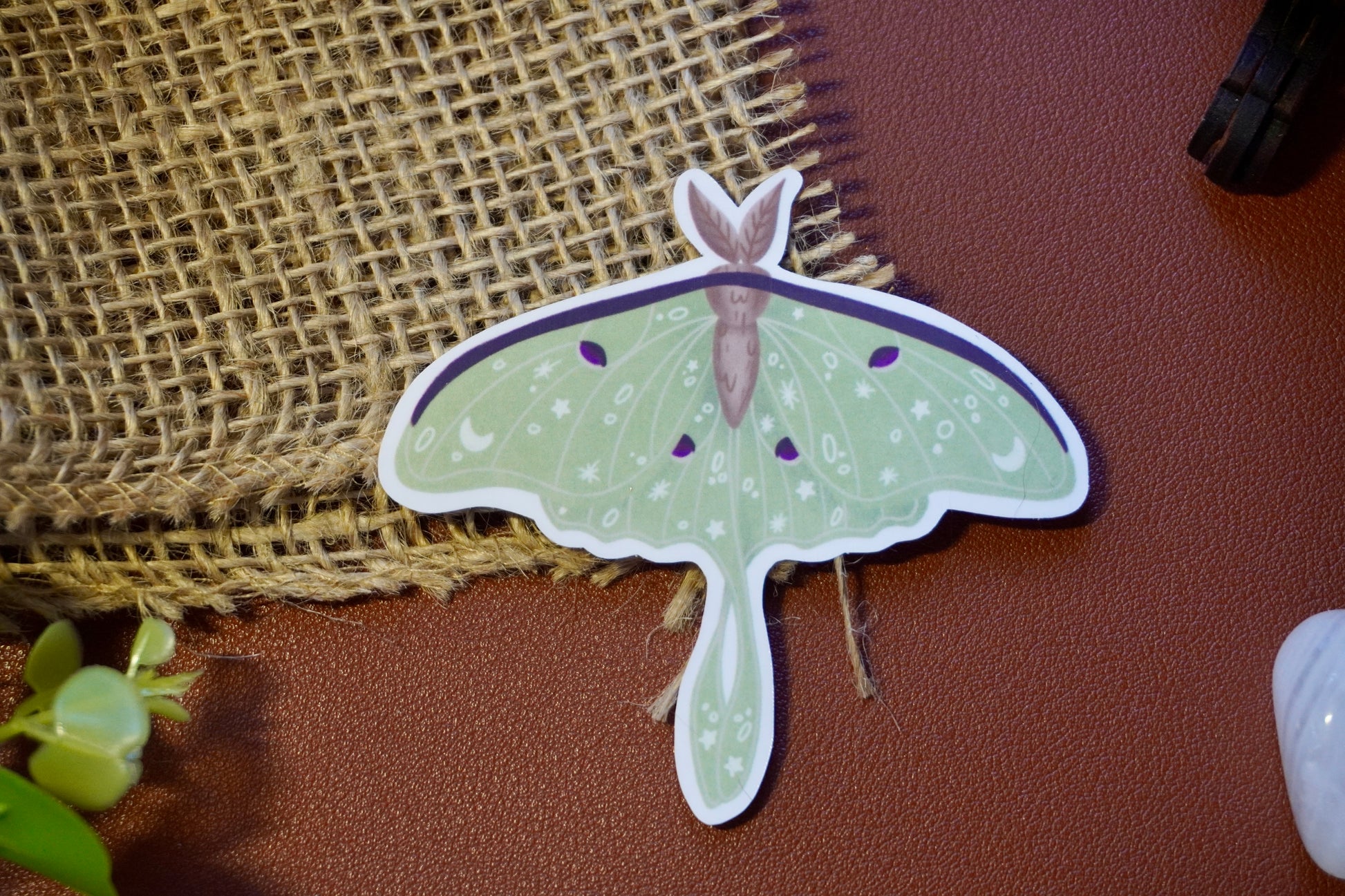 The image shows a sticker of a luna moth. The moth is light green with intricate white star, moon, and dot designs on its wings, along with dark purple accents and a brown body. The sticker is die-cut to follow the shape of the moth, giving it a distinct and whimsical appearance. 