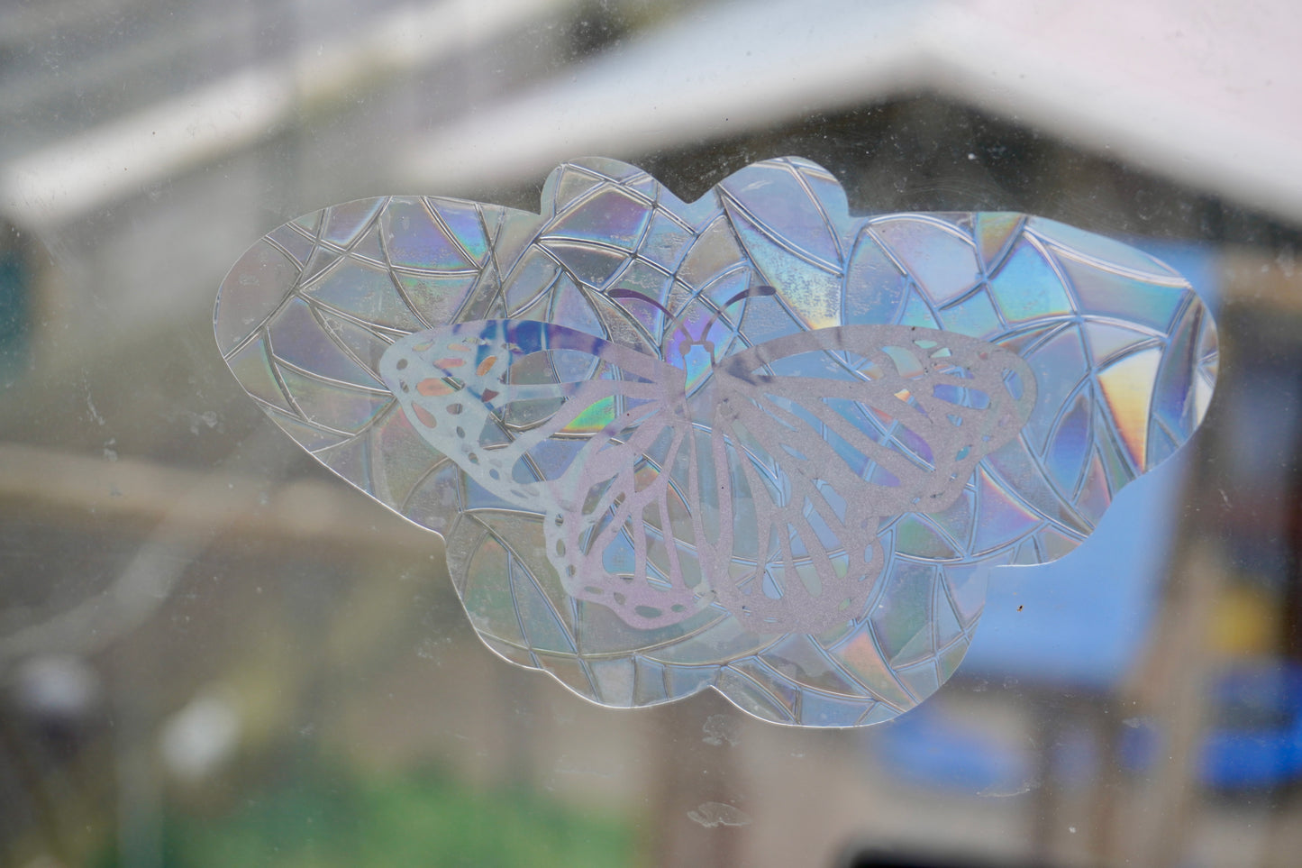 Sun catcher butterfly